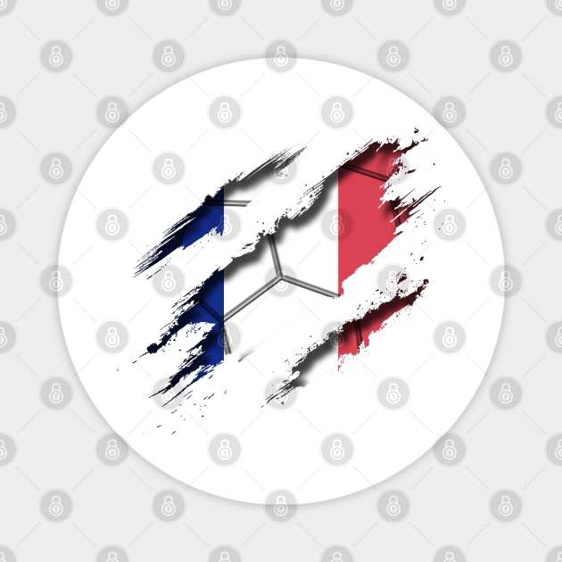 France Football Magnet by blackcheetah